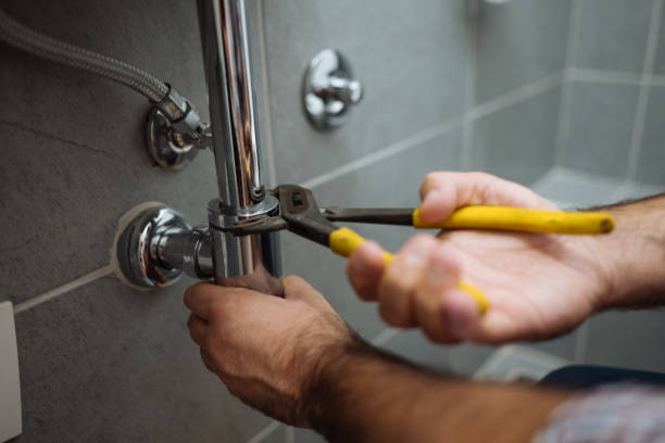 Best Plumbing Inspection Services  in Villa Park, CA